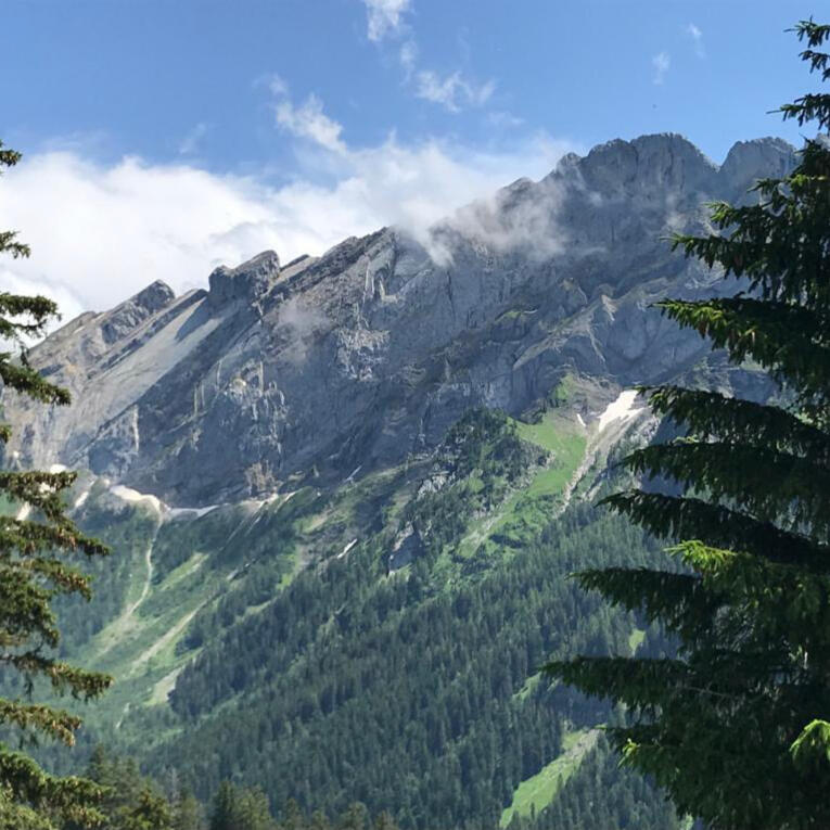 Le Miroir d&#39;Argentine