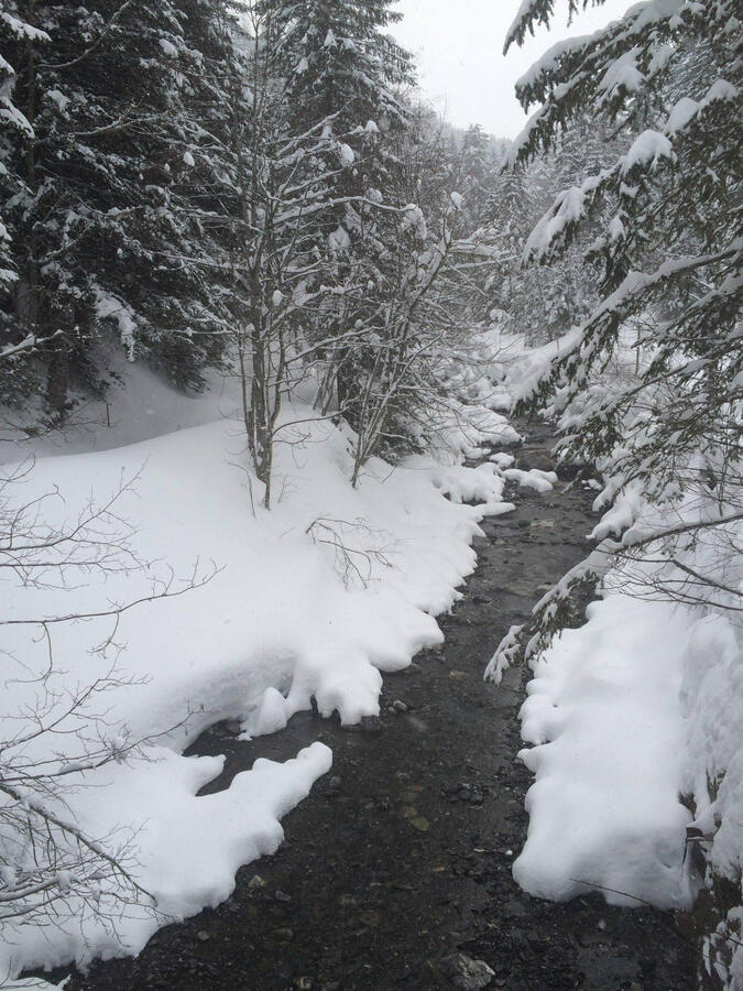 On the way to Solalex