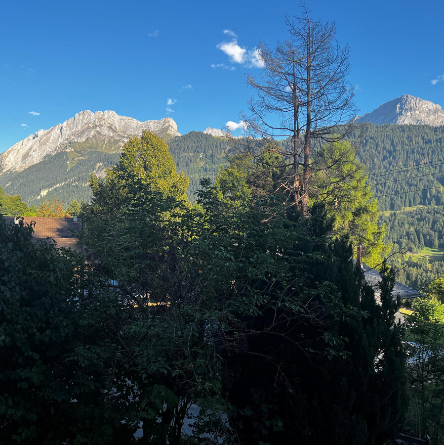 Miroir d&#39;Argentine &amp; Grand Muveran (view from Chalet)