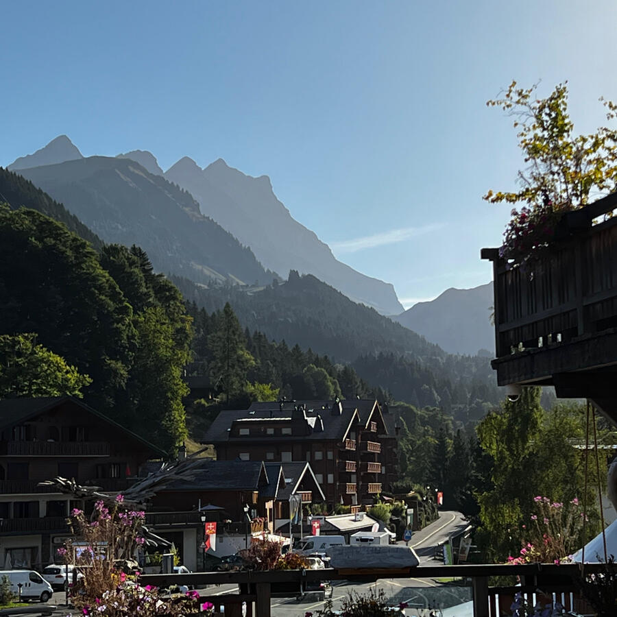 View from Barboleusaz (Gryon)